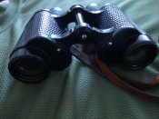 DSC05685.JPG