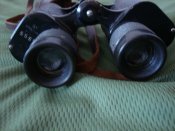 DSC05686.JPG