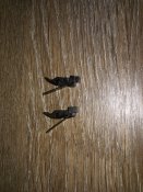 IMG_20160806_163705.jpg