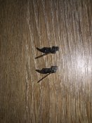IMG_20160806_163709.jpg