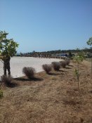 20160806_104957.jpg