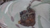 IMG_20160807_103817.jpg