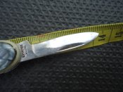 DSC02375.JPG