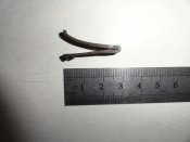 DSC05265.JPG