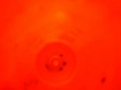 IMG0087A.jpg