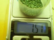IMG0096A.jpg