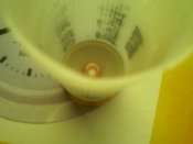 IMG0097A.jpg
