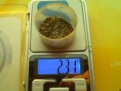 IMG0107A.jpg