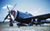 Air-Sea_Rescue_P-47_Thunderbolt_of_the_5th_Emergency_Rescue_Squadron.jpg