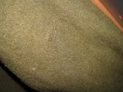 IMG_4532.jpg