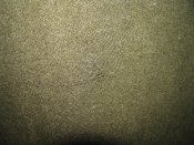 IMG_4533.jpg