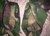100_4081.JPG