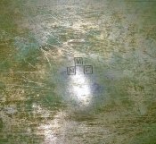 WP_20160602_011.jpg