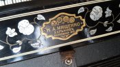 20160809_102631.jpg