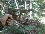 20160806_103843.jpg