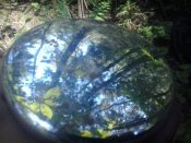 2016-08-09 13.10.07.jpg