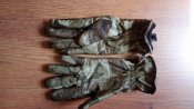 IMG_20160810_111931.jpg
