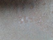 20160810_160822.jpg