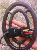 IMG_20160811_084152.jpg