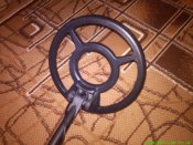 IMG_20160811_094410.jpg