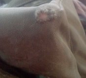 IMG_20160805_130239.jpg