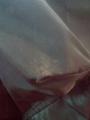 IMG_20160805_130255.jpg