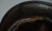 x_e4952931.jpg