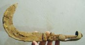 DSC01945.JPG