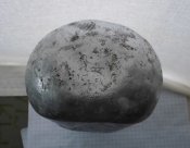 CIMG9789.JPG