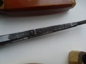 SL376921.JPG