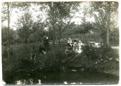 img017.jpg