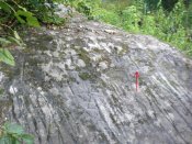 CIMG6314.jpg