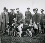 hunde.jpg