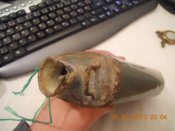 DSCN3968.JPG