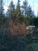 14032011144.jpg