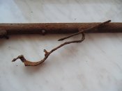 Капсульна рушниця.