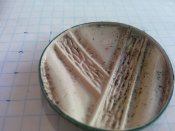 IMG_20160817_105428.jpg