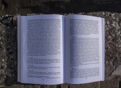 P8147231.JPG