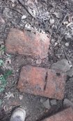 20160813_145050.jpg