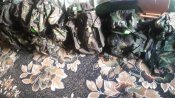 20160818_123137.jpg