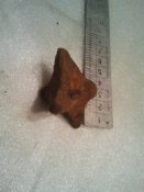 2016-08-18 18.23.25.jpg