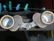DSCN8428.JPG