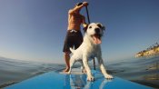 bluelinepaddlesurf.blogspot.com_.jpg