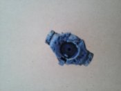 Lenovo_A1000_IMG_20160820_171644.jpg
