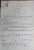P3150010-5.JPG