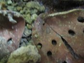 IMG_0530.JPG
