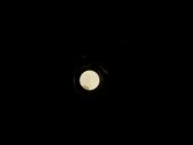 DSCN7951.JPG