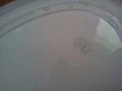 IMG1944.jpg