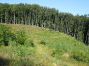 IMG_0620.JPG