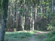 IMG_0619.JPG